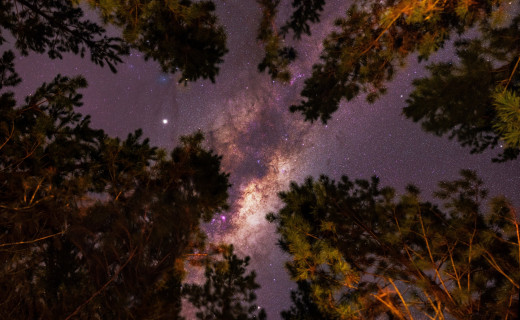 �1760122 �������(a): ����������:3000x1846